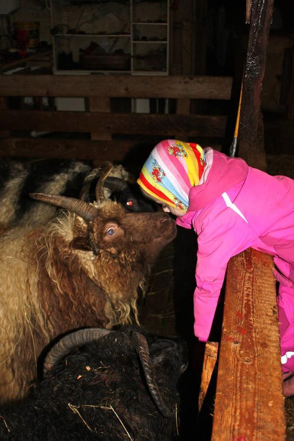 Ferienwohnung Skjólsteinar Grundarfjörður Exterior foto